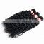 Black Rose China Hair Factory Brazilian Virgin Curly Hair Weaving