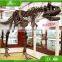 KAWAH Life size Museum Exhibition Fiberglass 5M Dinosaur skeleton Fossils