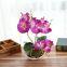 Creative Decoration Artificial Plants 3 Branches Silk Orchid Pot