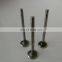 Trade assurance diesel parts 135957 intake valve  for NT855 engine 4955698 3000926