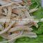 nanguang factory price Dried Cod Fillet 15cm up for sale