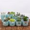 Succulent celadon flowerpot green plant flower pot hand-painted creative ceramic mini pot