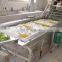 Salad vegetable cleaning machine, Vegetable leaf washing machine, Berry cleaning machine