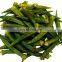 100% NATUARL VACCUUM FRIED OKRA CHIP ORGANIC FROM VIET NAM