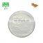 16% Diosgenin dioscorea villosa Wild Yam root Extract Powder