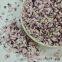 wholesales freeze dried red onion dice