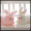 stuffed animal plush toy for white rabbit