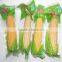Top Quality Small Food Vacuum Packing Machine