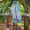 China LDPE banana cover bag manufacturer