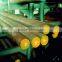 forged GCr15 bearing steel round bar
