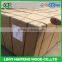 1220x2440mm water-proof mdf board/water resistant mdf board/waterproof green mdf