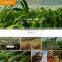 Website Design/ Ecommerce Website Design/ Shopping Cart Web Design