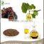 China Supplier Price Grape Seed Extract Grape Seed Oil for Skin Care
