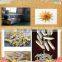 Fried Pellet Chips Pasta Plant processing line