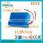 Hot Sell LiFePO4 12V Storage Battery Pack for Lighting