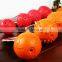Fashion top sell sausage dog toy