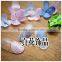 Nail Decorator DIY nail art real dry flowers True flowers nail tools