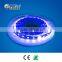 Bright Lighting Flexible LED strip light main product ip68 led strip light 12v