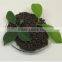 Factory competitive good price DAP 99% DiAmmonium phosphate 18-46-0 fertilizer                        
                                                Quality Choice