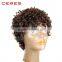 light brown Afro Short Curly Synthetic Wig, Short Hair Wig, Rainbow Wig                        
                                                Quality Choice