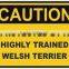 warning and caution sticker labels printing stong stickness