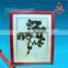Medicinal Plants Herbarium