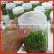 Recycled Used 350ml Size Factory Supplier High Quality Glass Bacteria Bottle With Plastic Lid