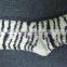 Ladies' floor socks NEW