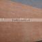 High quality okume plywood with cheap price/building construction material in China