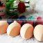 High quality Concealer Sponge Brush / Cosmetic Makeup brush / sponge mask brushes