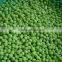 Best quality iqf frozen green pea