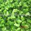 Frozen broccoli