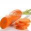 2015 fresh carrot supplier with difference specification