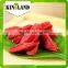 Wholesale China goji berries