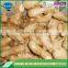 New crop buyer of dry ginger