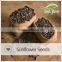 Organic Inner mongolia sunflower seeds kernel 3638
