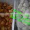 commercial bread baking oven/biscuit baking machine/croissant bread baking machine