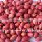 red skin raw peanuts kernel