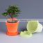 Mini indoor and outdoor decorative plastic flower plant pot and tray