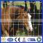 Made in china 20 years experience Professional factory hot sale field fence