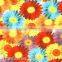 3D water transfer printing film