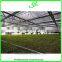 UV Protcetion Polycarbonate Sheet Greenhouse