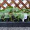 custom black hydroponic flood tray