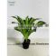 SAS201605 Artificial Green Plant,Indoor Fake Ornamental Plant Bonsai