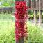 Artificial Silk Wisteria Flower Vine Wedding Decor Garden Plant Home Art