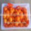 kinds of citrus fruits Tangerine Orange