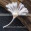 Fashion natural pearl gold-plated ginkgo biloba brooch