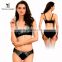 Push Up Classic Embroidery Flower Transparent Lace Ladies Sexy Fancy Bra And Panty Set New Design