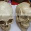party Halloween skull head C-A087