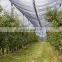Factory supply Agricultural 50g anti hail netting /orchard tree hail protection net/anti hail net for fruit gardens
